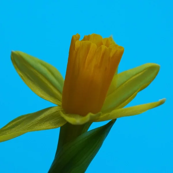 网络赌博棋牌游戏